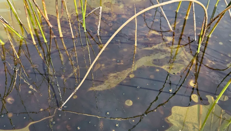 Study: More than 6,400 Great Lakes oil spills within 10 years
